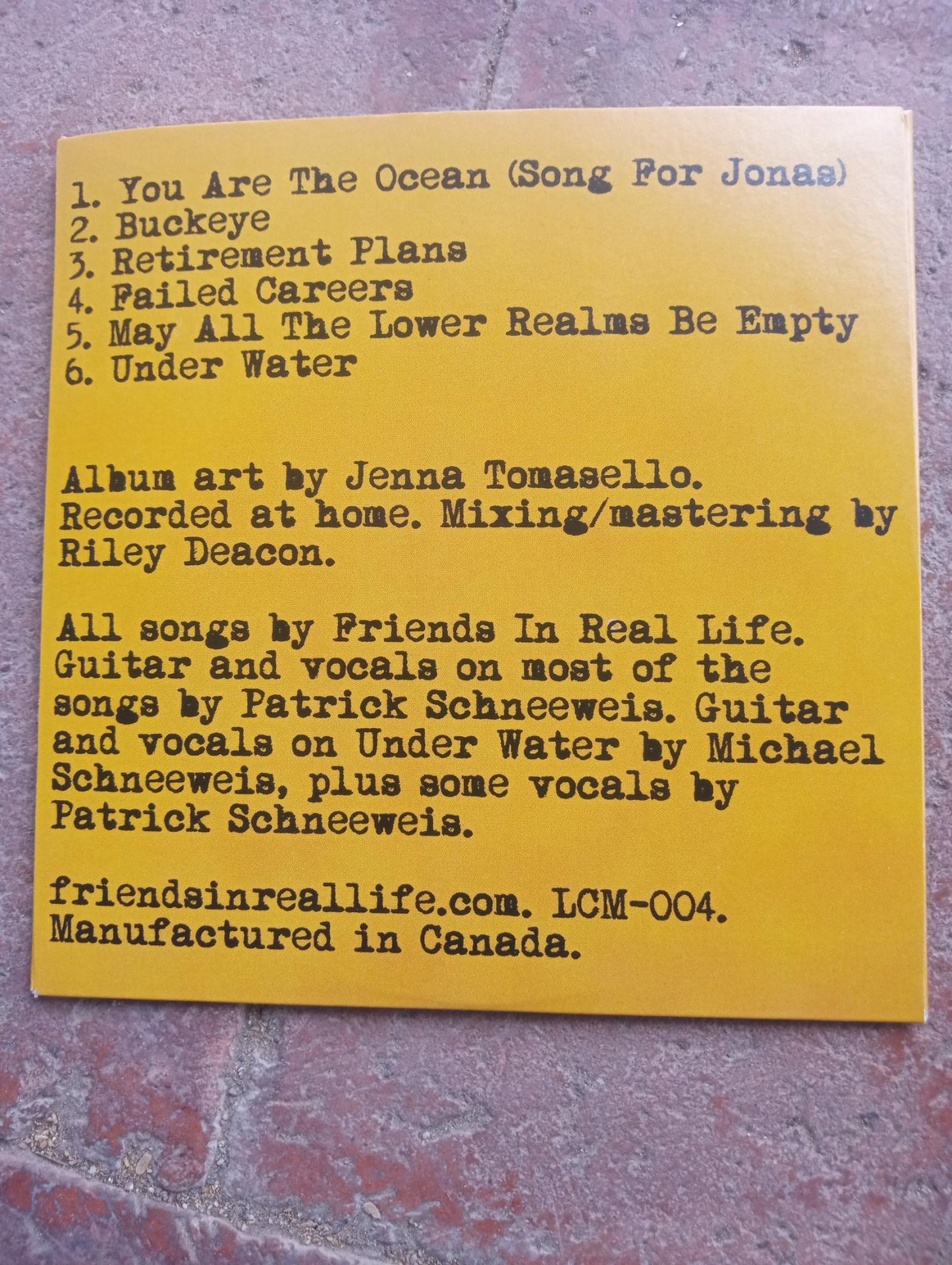 Friends In Real Life - Acoustic: CD