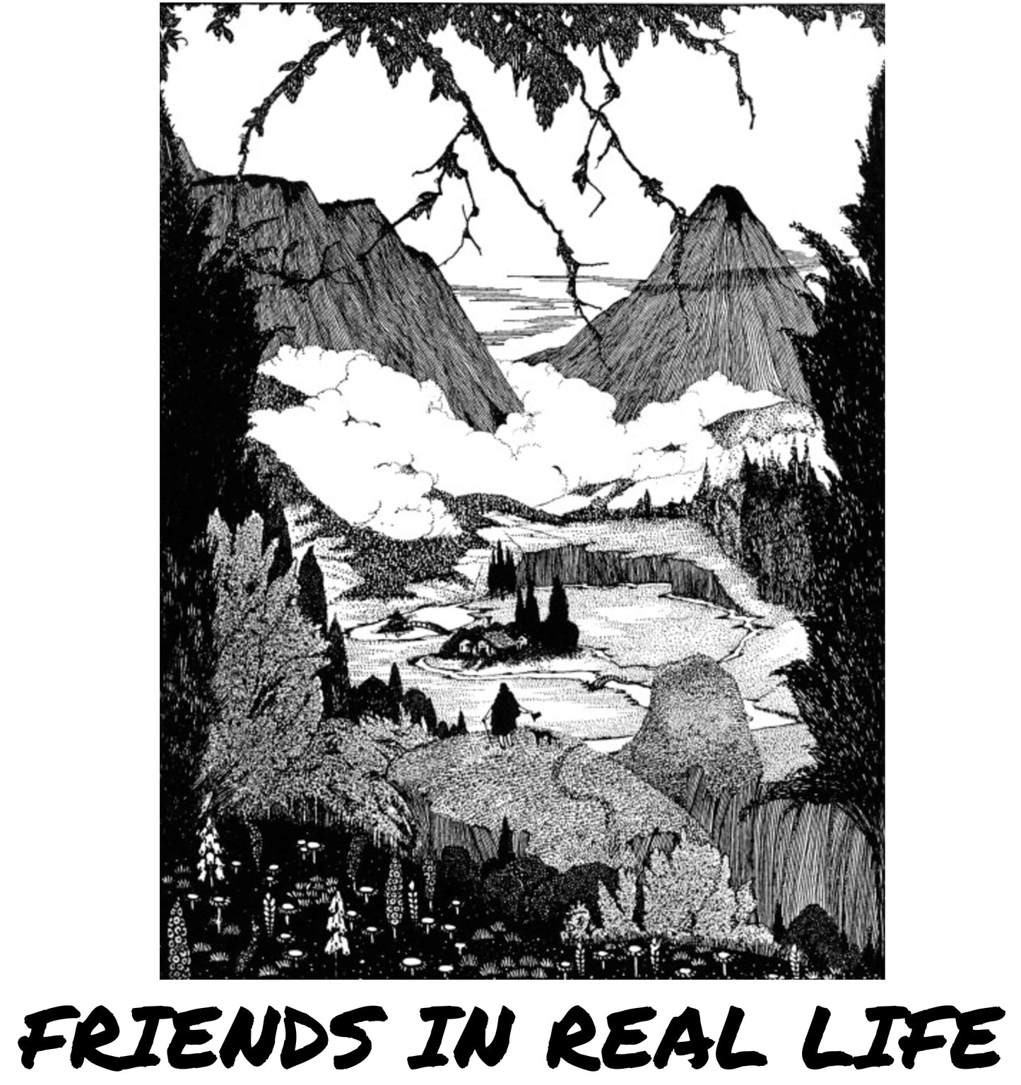 T-Shirt: Friends In Real Life - New Practices