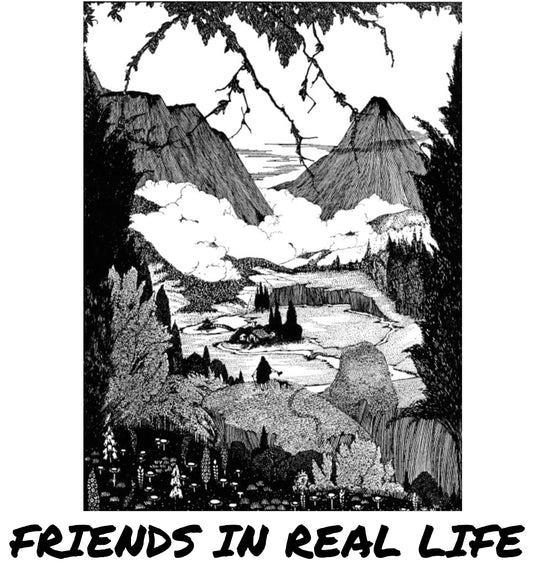 T-Shirt: Friends In Real Life - New Practices